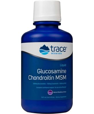 Liquid Glucosamine Chondroitin MSM | Complete Dietary Supplement for Active Lifestyle | Supports Joints, Cartilage and Mobility | Natural Blueberry Flavor | 16 Servings, 16 fl oz